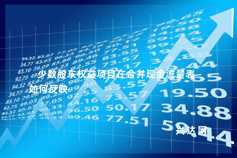 少数股东权益项目在合并现金流量表中如何反映